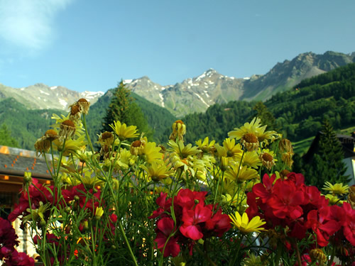 Regione trentino alto Adige